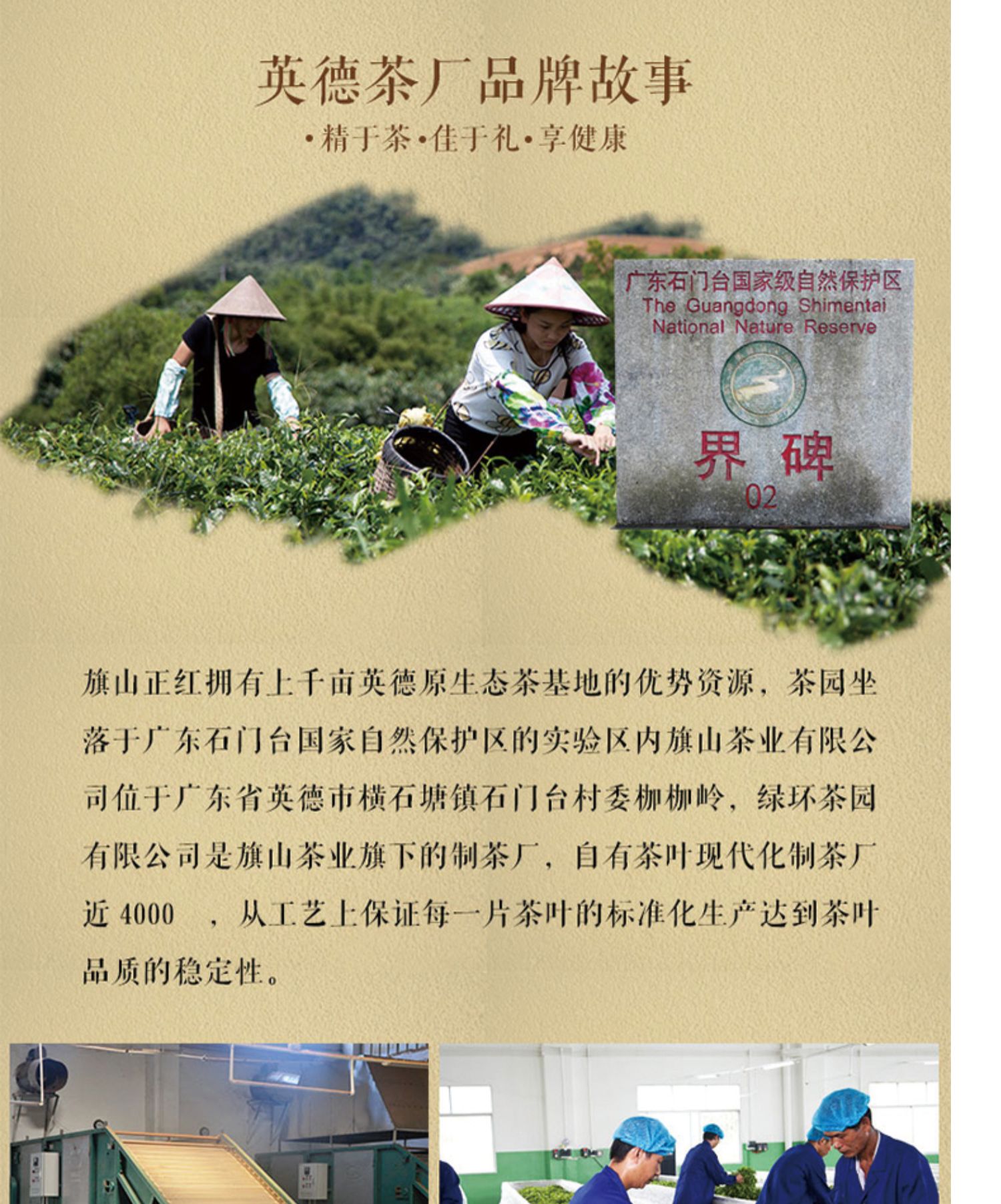 英德红茶旗山正红英红九号150g