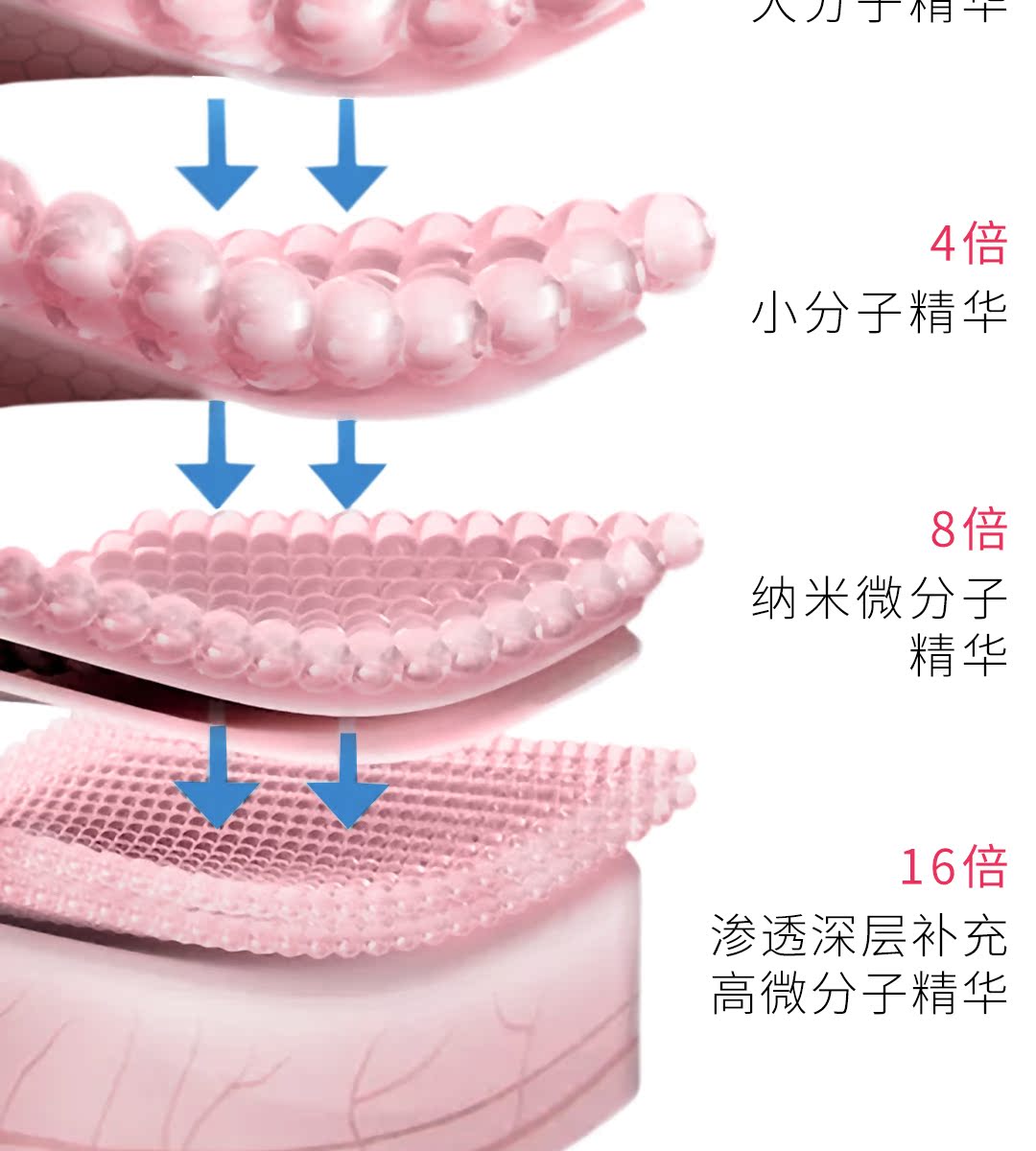 百洛娜腺苷抗皱安瓶补水提亮精华液介绍