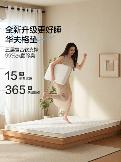 Lin 's Life Memory Foam Mattress 홈 학생 문 싱글 타타미 임대 와플 라텍스 쿠션 Lin 's Life Memory Foam Mattress 홈 학생 문 싱글 타타미 임대 와플 라텍스 쿠션