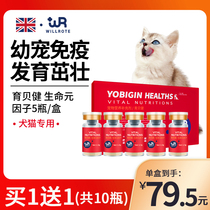 Willot Yukbejian IGY Life Factor Dog Fethine Herpes Virus Infection Immunity Gut Conditioning