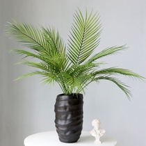 ins Nordic fake green planting loose tail sunflower indoor decoration simulation plant living-room pendulum with view fake flowers photo props