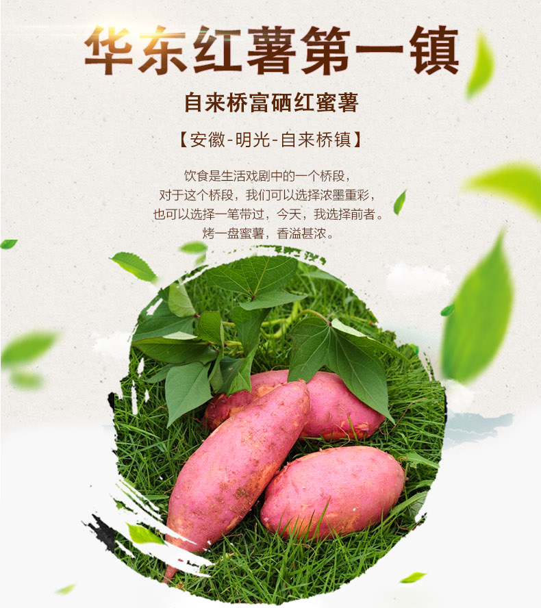 自来桥红薯新鲜红心蜜薯5斤农家板栗山芋西瓜红小番薯糖心地瓜