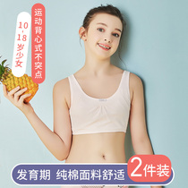 Xinjiang cotton girl big child youth development period underwear little girl vest high junior high school student girl 10-13-16 years old
