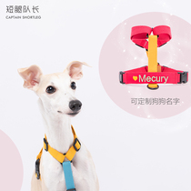 Short-legged captain pet custom chest back embroidered dog name contrast color I-word back Rainbow chest strap explosion-proof shock traction