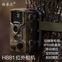 Grove H881 infrared camera mobile sensing rainstorm and plant special time-lapse camera timed photo
