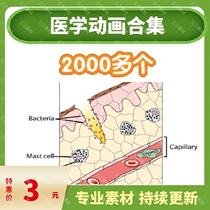 Medical Animation Video 2000 Collegiate Physiopathological Gynecology Forensic Pharmacoorthopedist Anatomy