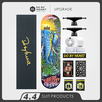 DBH skateboard teenagers adult children boys and girls beginner Brush Street four wheel road double wheel professional scooter