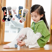Baby pantyhose autumn cotton spring and autumn thin stocking bunny female baby girl pantyhose autumn