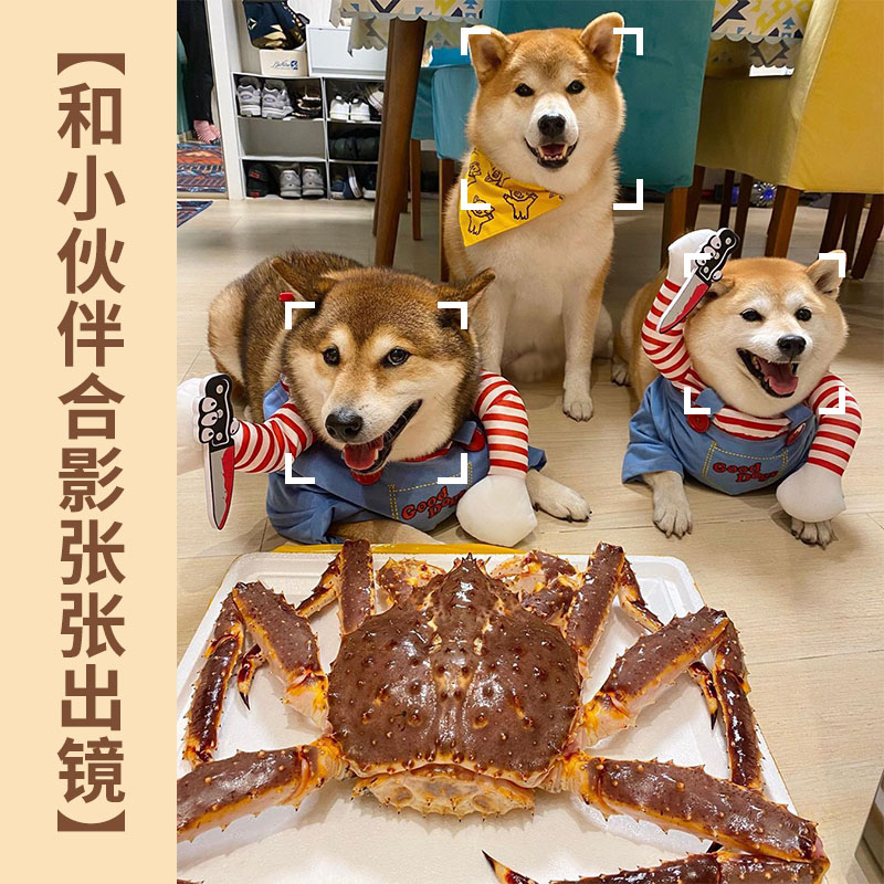 O1CN01KHBHFV1sh4mwOinER_!!2208869925797.jpg