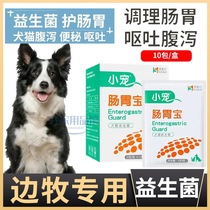 Side Pastoral Dog Dedicated Nourishment to the Dog Stench Stench Dog Beast to Treat Gastrointestinal constipation with Probiotic Powder