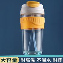 Glass Water Glass Female Summer With Straw Large Capacity Portable Coffee Cup Cute Accompanying Milk Cup Tea Cup