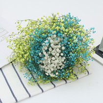 Yunnan starry true flower Forget-me-not crystal grass dried flower bouquet Home decoration living room bedroom with vase