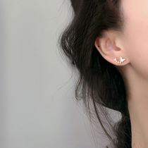 925 pure silver butterfly ear nail female small simple and cool air cold wind 2020 new tide in advanced ear decoration