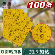 Yellow Board Double-sided Adhesive Insect Board Greenhouse Special Home Powerful Small Flying Insect Thistle Horse Trap plate Orchard Drosophila Fruit Fly Trap
