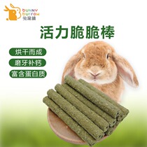 Bunny burrow in Bunny Burrow Timothy Grinding Crisp Crisp Crispy Rabbit Dragon Cat Hamster High-Fiber Snut