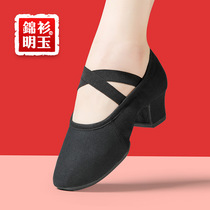 Ballet Shoes Teacher Professional Band Heel Dance Shoes Folk Dance Shoes Soft Bottom Belly Leather Dance Shoes Female body Skill Shoes Summer