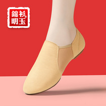 Modern Dance Shoes Dance Shoes Women Soft-bottom Teachers Practice Shoes Ballet Jazz Dance Shoes Body Yoga China Dance Shoes