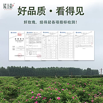 诺上花玫瑰花茶50g瓶装买一赠一[30元优惠券]-寻折猪