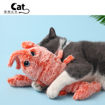 Meng inverted sentient creatures cat toys small dogs self-relief resistant to bite teeth funny cat supplies electric dog toys