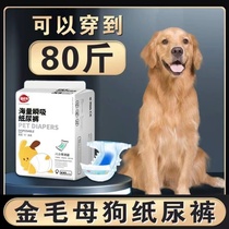 Bitch Dog Special Physiological Pants Large Puppy Golden Woolly Diabetes Diabetes Diabetes Aunt Towel