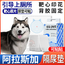 Alaska Special Dog Target Diabetes Diabetes Diabetes Diabetes Diabetes Can Adhesive Thickness One-Time