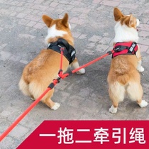 Dog Dog Double Head Traction Dog Rope One Took Two Dog Rope Two Dog Pet Teddy Gold Touch Dog Rope