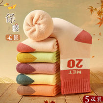 Childrens socks Autumn and winter thickened velvet warm baby girls in the tube in the big childrens floor socks