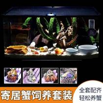 Hermit crab full set of feeding box package large novice set landscaping special luxury feeding box to send hermit crab