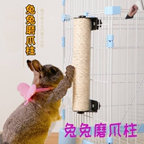 Rabbit grinding paws to relieve boredom toys grinding rabbits grinding deck grinding fingers deck pet rabbits grasping floor