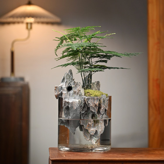Xuanshan desktop moss micro-landscape landscaping plant ecological bottle green plant potted glass indoor bonsai creative ornaments
Xuanshan desktop moss micro-landscape landscaping plant ecological bottle green plant potted glass indoor bonsai creative ornaments
