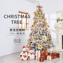 Christmas Tree Genuine Tree Ornament High-end Seven Color Top Star Base Home Emulation Fruit Tree Photography Props Drainage Activity