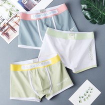 2022 summer cotton breathable and comfortable boxer bottoms solid color personality mens underwear boxer shorts boxer shorts