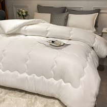 The Mercury quilt is thickened by the four-season universal double spring and autumn by the air conditioner in the winter by the summer thin student quilt core
