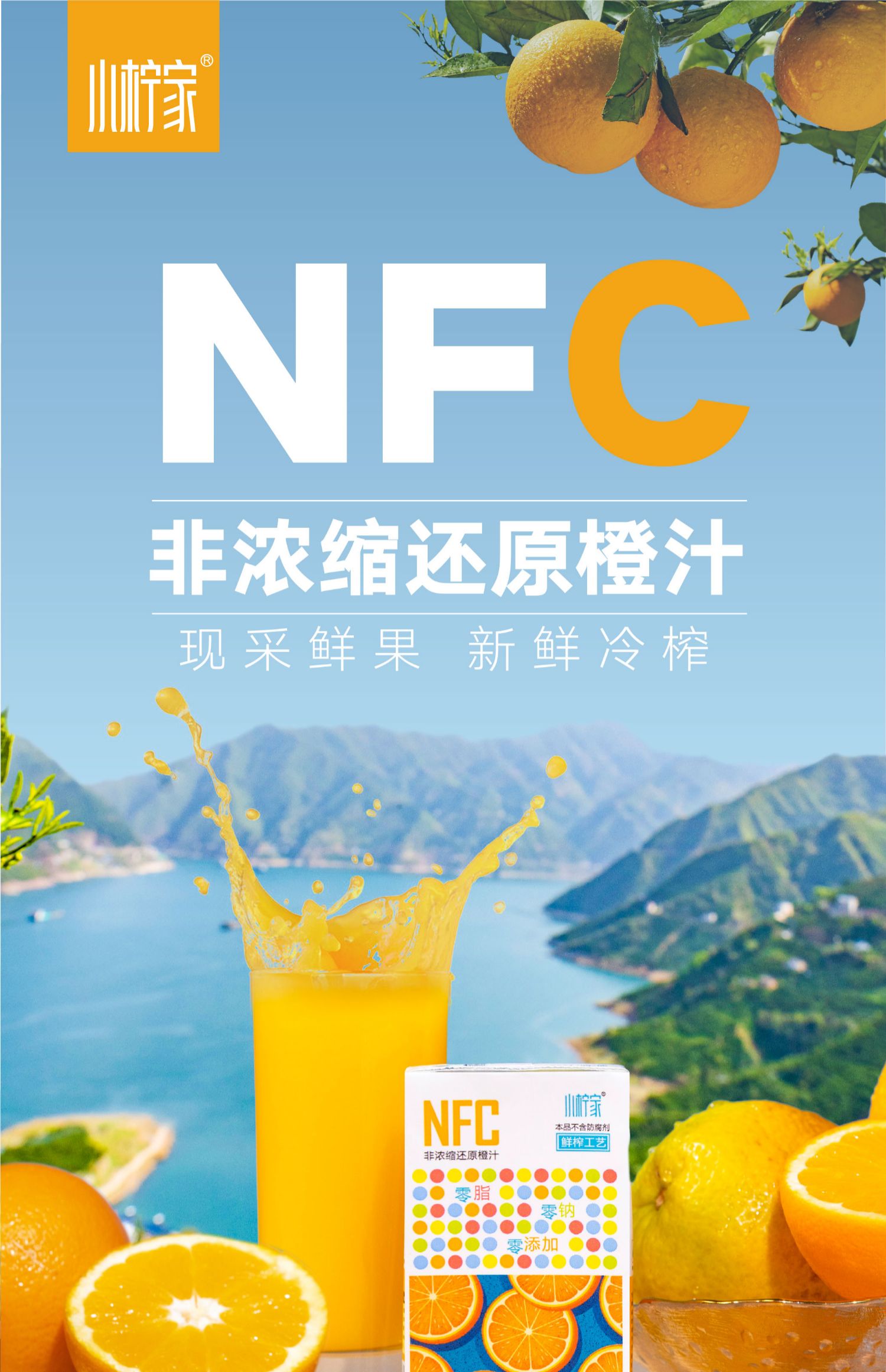 小柠家四季鲜榨NFC橙汁6盒