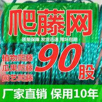 Fruit climbing vine net Bold net Passion fruit grape plant climbing melon fruit vine flower Agricultural net Bean horn morning glory