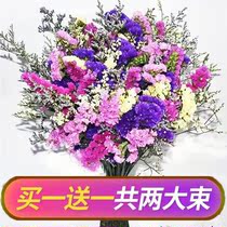 Dont forget I dry flower bouquet Living room Dried Flowers Decorator Living-room Full Of Stars Real Flowers Dry Bouquet
