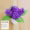 Blue round cup/hyacinth purple