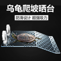 Turtle Sun Back Table Turtle Tank Climbing Terrace High Level Turtle Table Deep Water Turtle Sun Terrace Suction Cup Floating Table Turtle Climbing Terrace