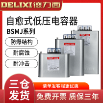 Delixi self-healing low voltage shunt power capacitor BSMJS0 45 Withstand voltage 450V reactive power compensation 20-3