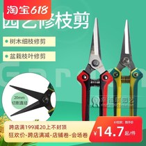 Household flower potted succulent plant pruning shears twigs tree twigs pruning horticultural pruning scissors flower scissors