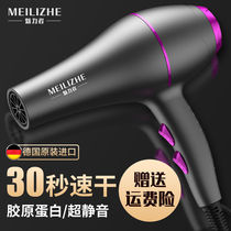 German Hair Dryer Home Speed Dry Hairdresshop Special High Power 3000W Negative Ion Hair Care Dorm Room Ultra Silent