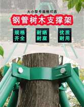 Tree support lever righting metal support rod Miao wood fixed clamp steel tube green bracket windproof fixer hoop