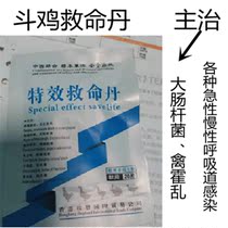 Cockfighting medicine Cockfighting fainting cockfighting cold Cockfighting Life-saving dan cockfighting training supplies