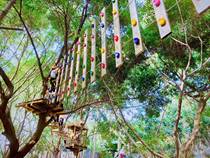 Scenic Area Outdoor Jungle Crossing Equipment Novelty Adventure Crossing Tree Climbing High-altitude Childrens Entertainment and Amusement Facilities