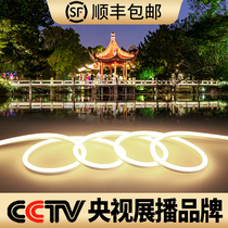 LED warm light silicone lamp belt dimmable flexible waterproof outdoor color lamp arbitrary cut courtyard villa eaves light strip