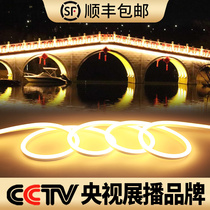 LED flexible light strip color light Outdoor waterproof lighting soft light strip Silicone hose Neon 220v color light light line