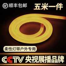 Warm light strip Decorative light strip Outdoor waterproof wall neon 220v patch line light Silicone light strip