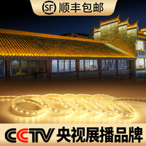 Waterproof light strip Outdoor golden light Exterior wall light strip Outdoor eaves wall contour light Gazebo modeling color light