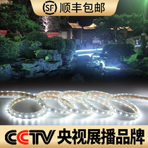 LED white cold light with green landscape transformation night lighting lamp waterproof 24v low voltage can be cut line lamp