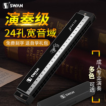 Swan Harmonica 24 Holes Cometone C Beginner Beginner beginner class The class recommendation is used with a phonetic mouth to blow the violin